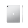 ta-080-gumus-2 Apple iPad Pro M4 13" Cellular